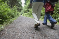 Lowsection Of Couple Walking On Forest Road